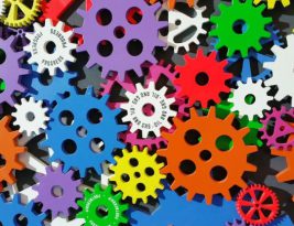 Can Software Automation Replace Human Tasks?