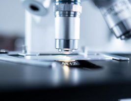 How Biotechnology Is Affecting the Tech World?