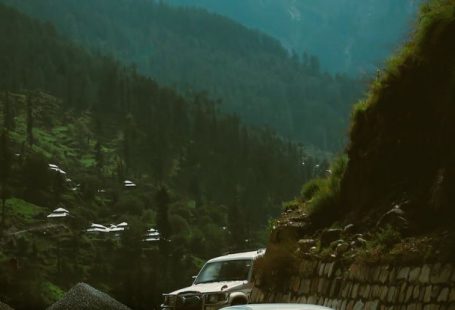 Self-driving Cars - Black Car on Road Near Green Trees